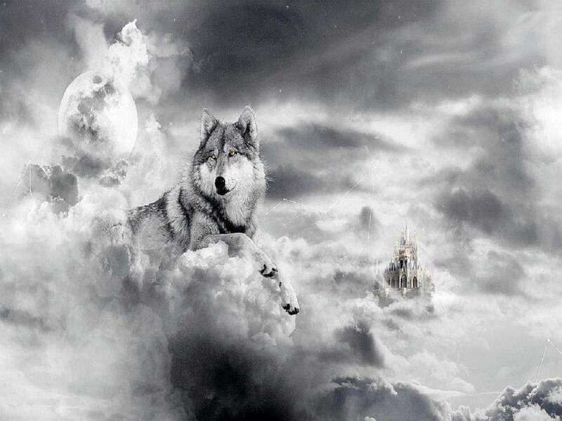 Wolf in Clouds — Gray, Dramatic, Night