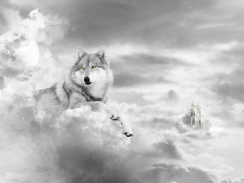 Wolf in Clouds — Gray, Dramatic