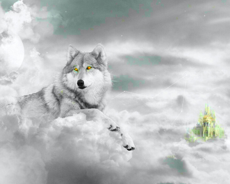 Wolf in Clouds — Gray, Dreamy