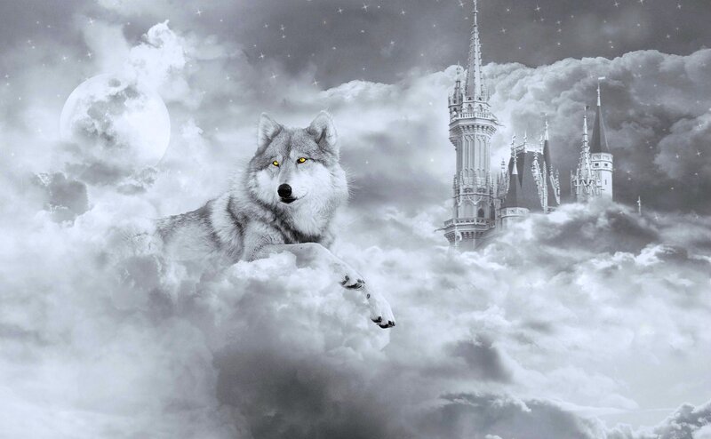 Wolf in Clouds — Gray, Fantasy