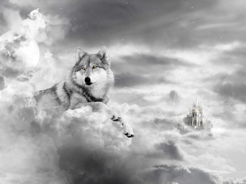 Wolf in Clouds — Gray