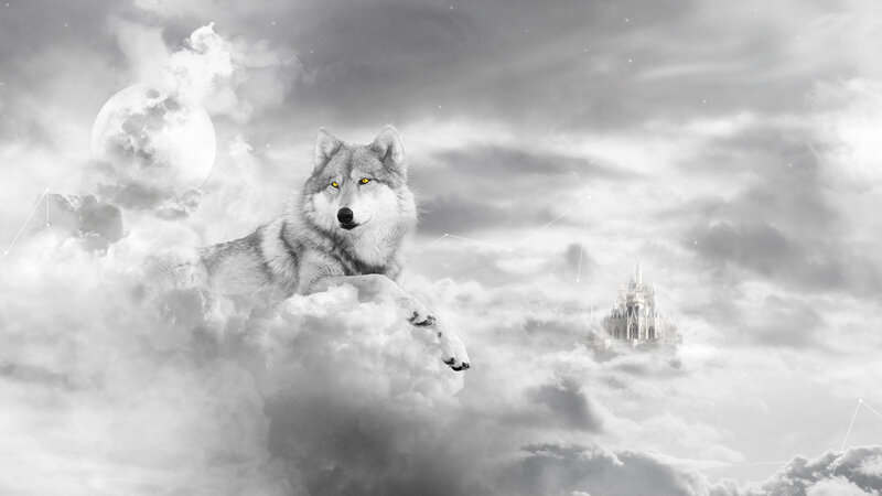 Wolf in Clouds