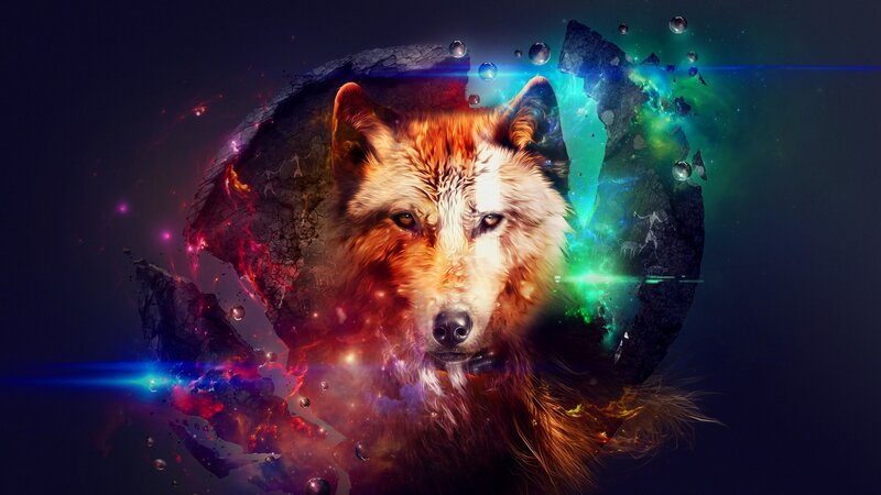 Wolf in Cosmic Explosion — Blue