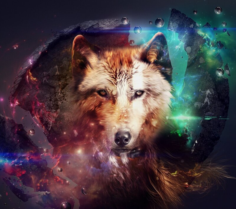 Wolf in Cosmic Setting