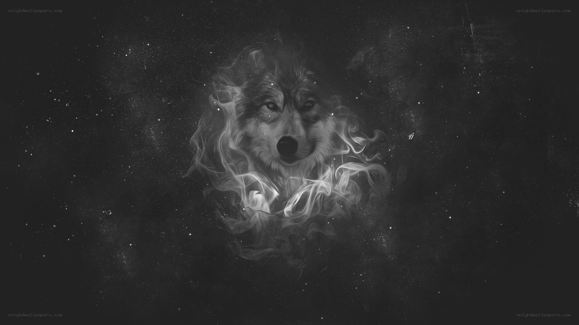 wolf in cosmic smoke