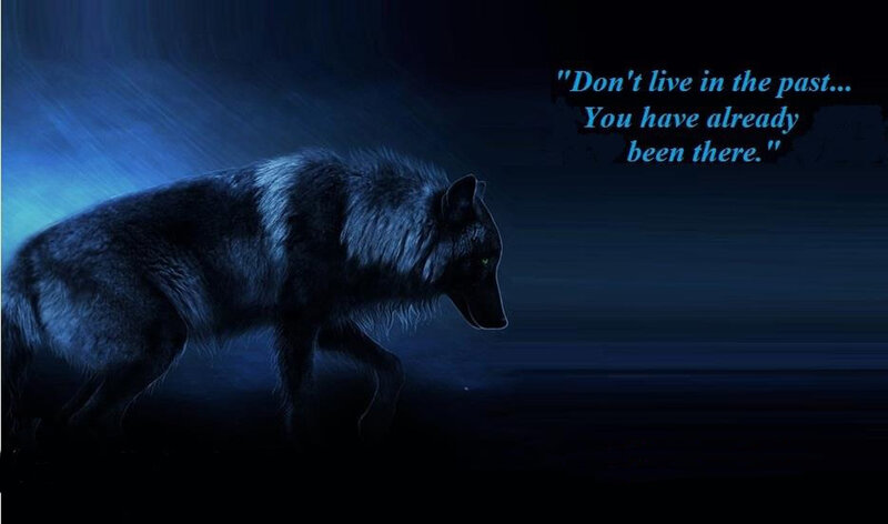 Wolf in Dark Blue Light