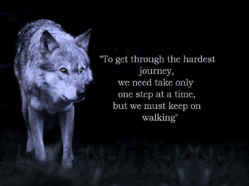 Wolf in Dark Field