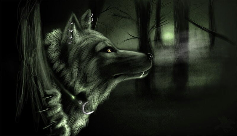 wolf in dark forest