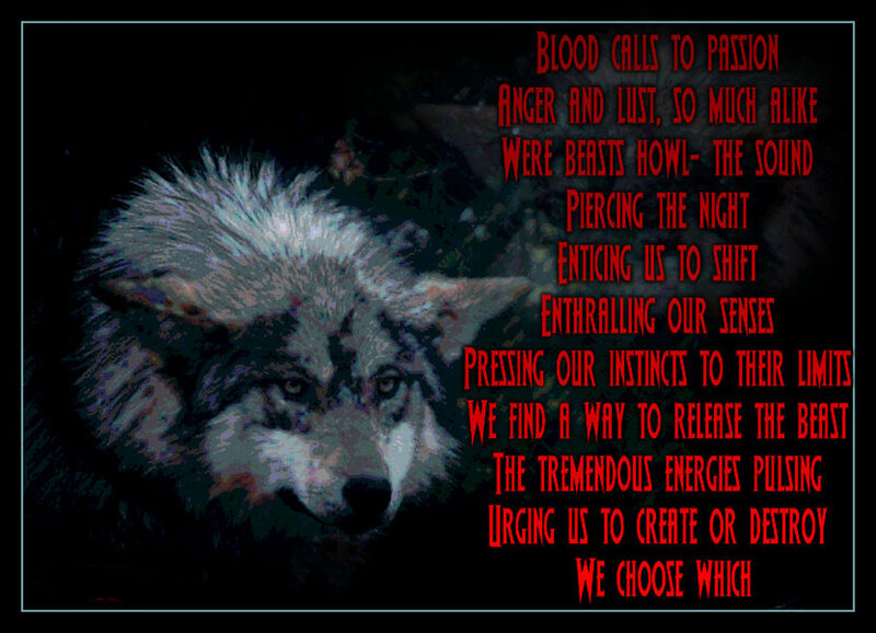 Wolf in Dark Setting — Black, Dramatic