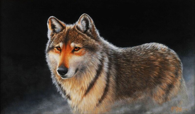 Wolf in Dark Setting — Brown, Dramatic