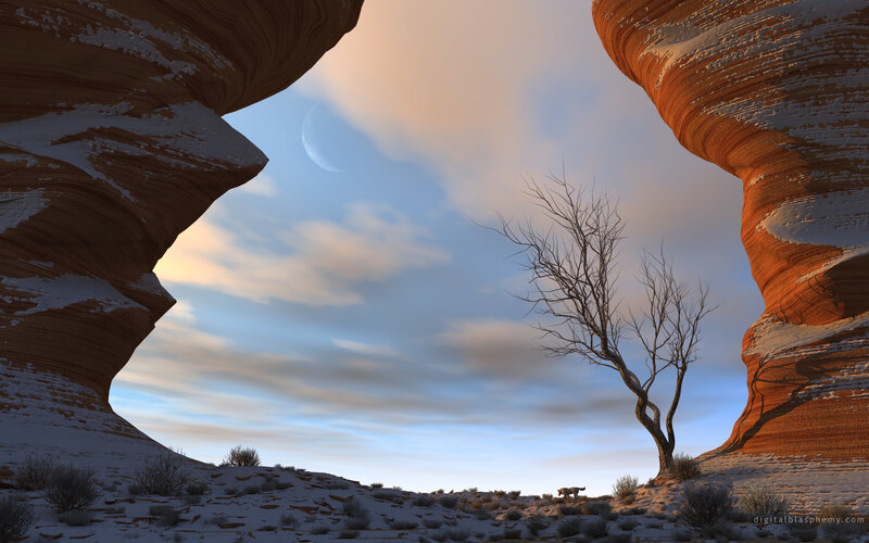 Wolf in Desert Landscape