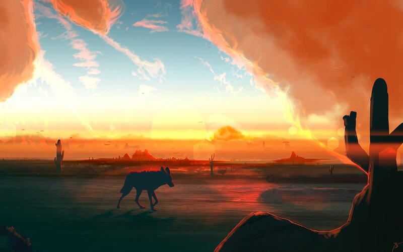 Wolf in Desert — Orange