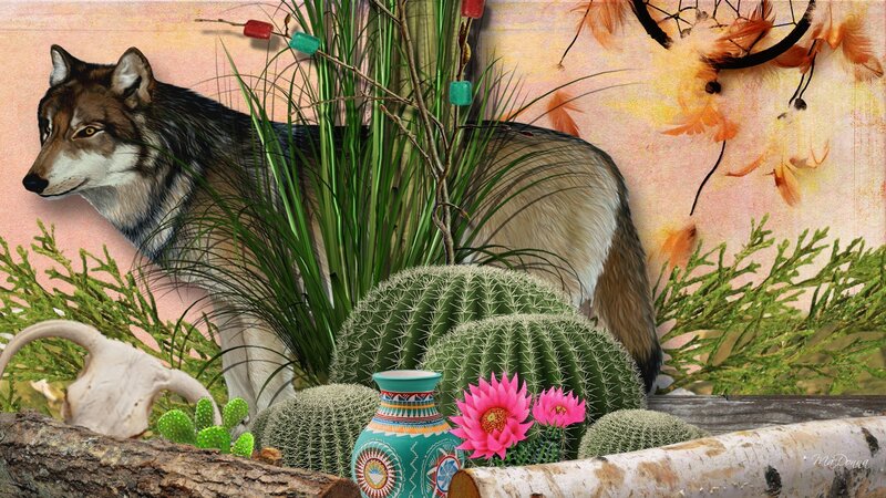 Wolf in Desert Scene