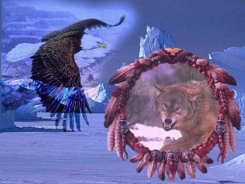 Wolf in Dreamcatcher — Blue, Dramatic