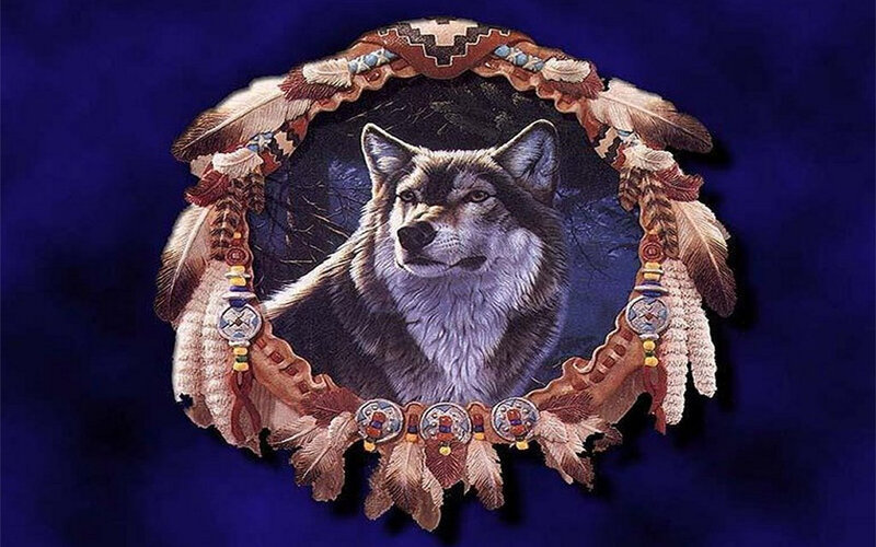 Wolf in Dreamcatcher — Blue, Mystical, Night