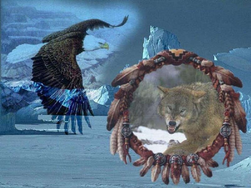 Wolf in Dreamcatcher — Blue