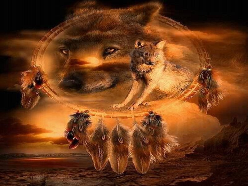 Wolf in Dreamcatcher — Brown