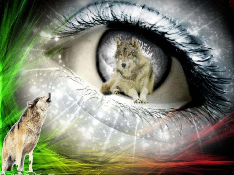 Wolf in Eye