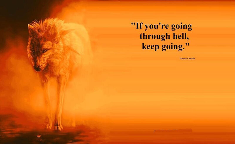 Wolf in Fire — Orange, Dramatic