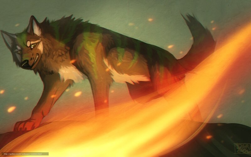 wolf in fire