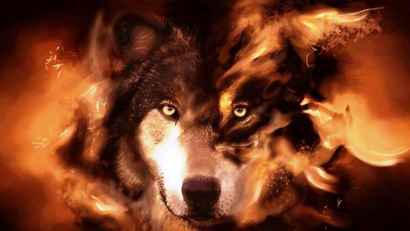Wolf in Flames