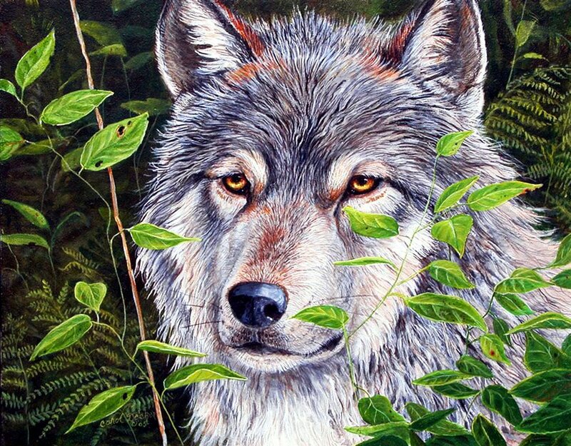 Wolf in Foliage — Green