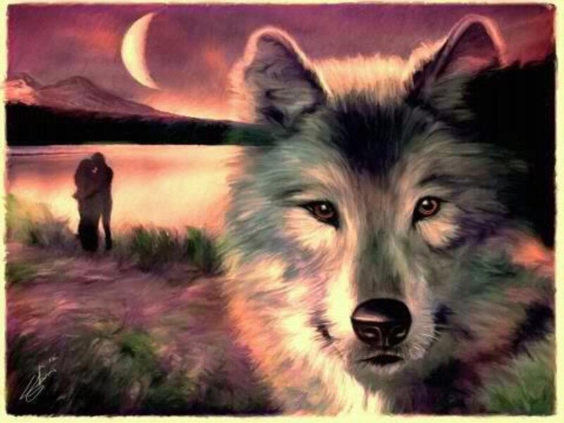 Wolf in Foreground