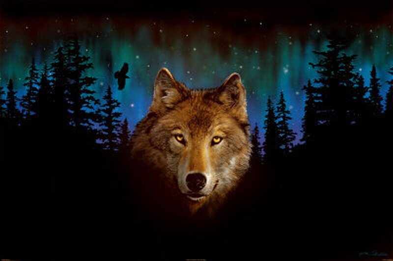 Wolf in Forest — Black, Mysterious