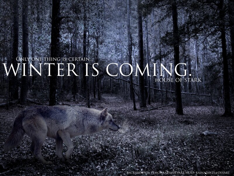Wolf in Forest — Blue, Dark, Dramatic