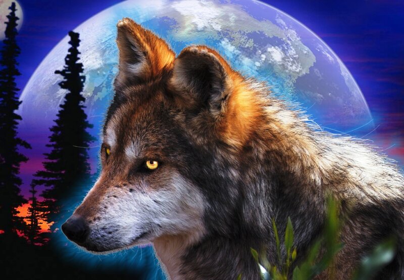 Wolf in Forest — Blue, Dramatic, Night, Digital Art, Moon
