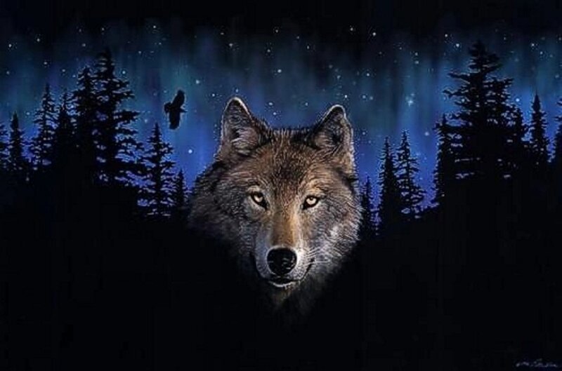 Wolf in Forest — Blue, Dramatic, Night, Digital Art, Night Sky