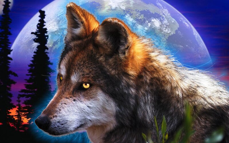 Wolf in Forest — Blue, Dramatic, Night, Digital Art