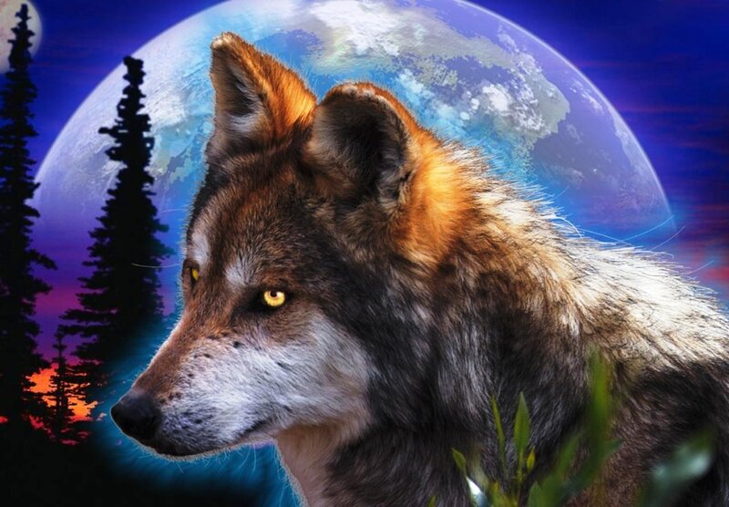 Wolf in Forest — Blue, Dramatic, Night, Digital Art, Tree, Planet