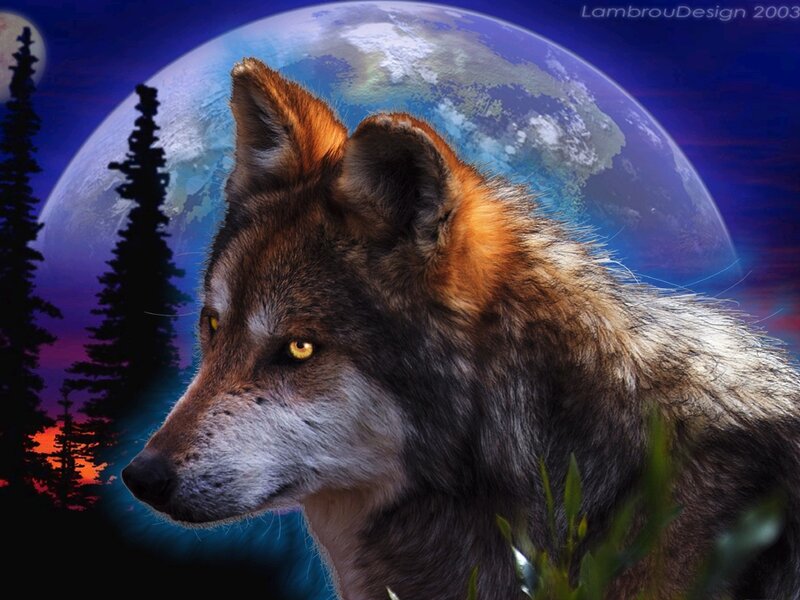 Wolf in Forest — Blue, Dramatic, Night, Digital Art, Trees, Moon