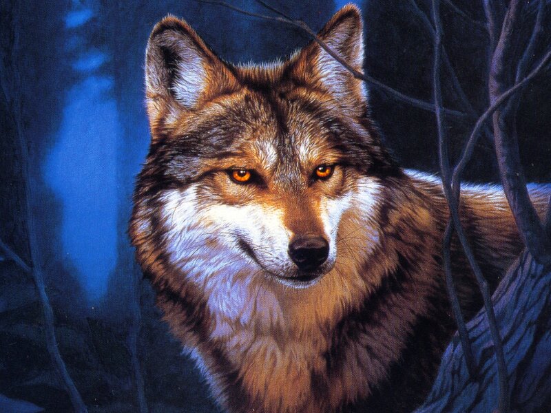 Wolf in Forest — Blue, Dramatic, Night, Digital Art, Trees