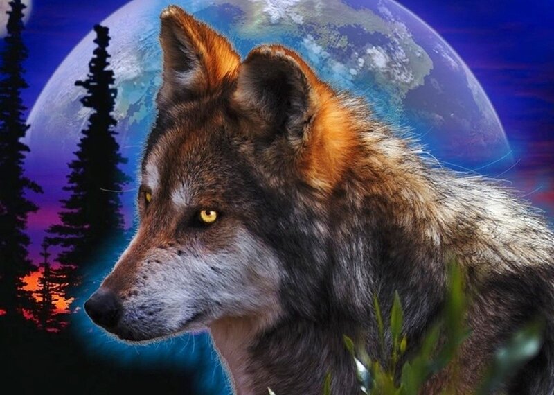 Wolf in Forest — Blue, Dramatic, Night
