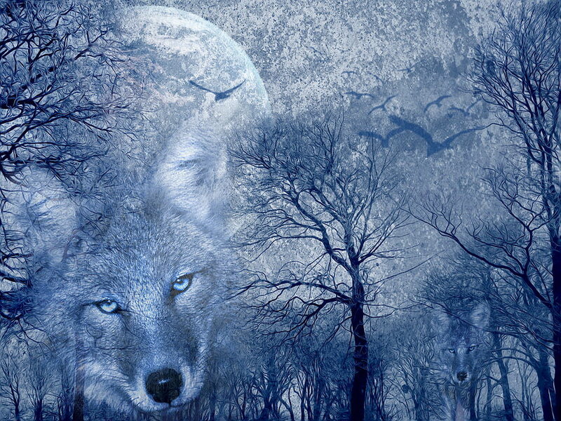 Wolf in Forest — Blue, Mysterious