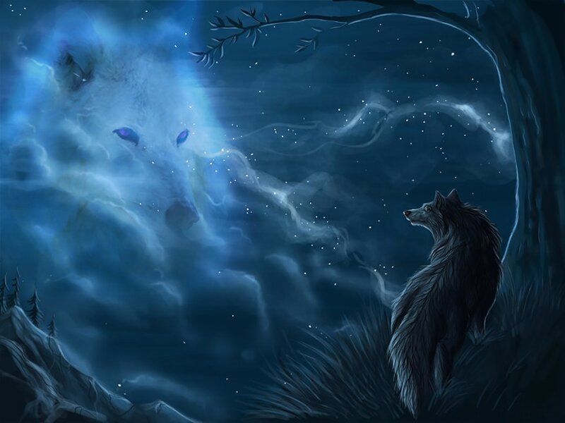 Wolf in Forest — Blue, Mystical, Night