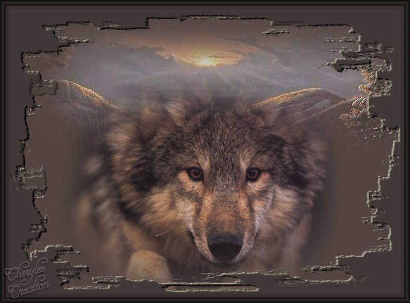 Wolf in Forest — Brown, Dramatic