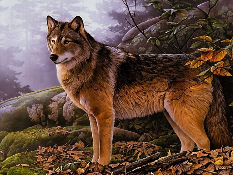 Wolf in Forest — Brown, Natural, Autumn, Digital Art
