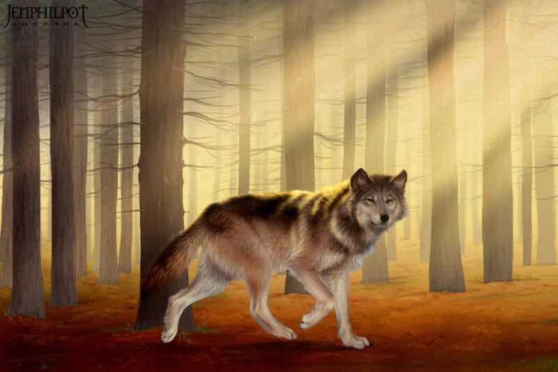Wolf in Forest — Brown, Serene, Morning