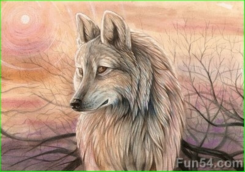 Wolf in Forest — Brown, Serene