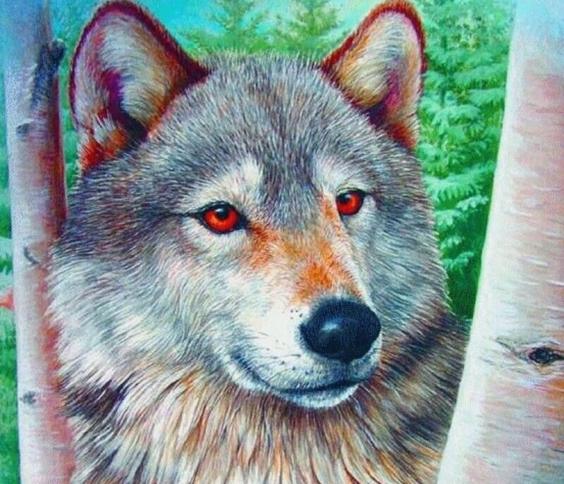 Wolf in Forest — Gray, Alert, Painting