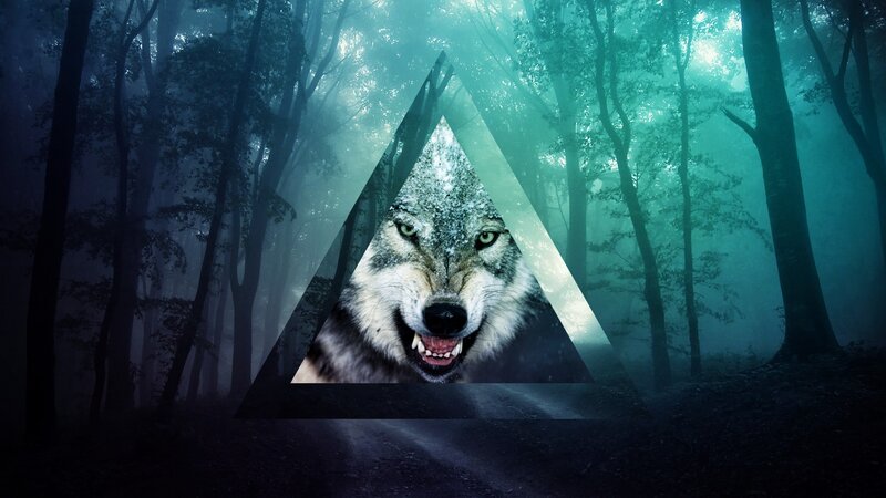 Wolf in Forest — Green, Dark, Night, Digital Art