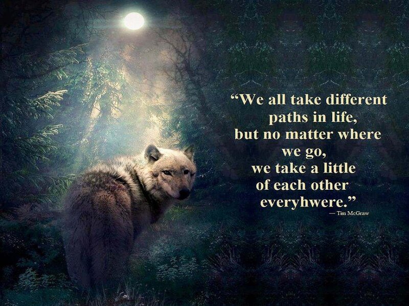 Wolf in Forest — Green, Dramatic