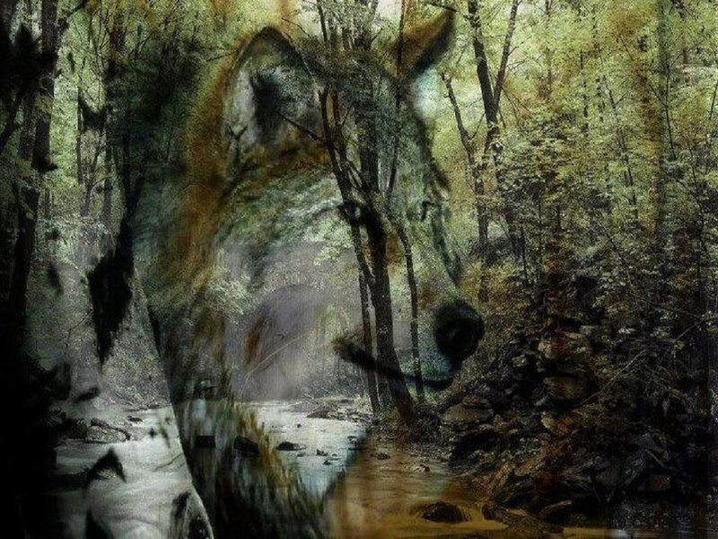 Wolf in Forest — Green, Mysterious, Digital Art