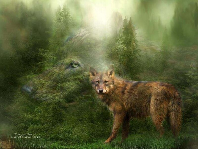 Wolf in Forest — Green, Mysterious