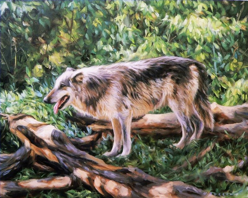Wolf in Forest — Green, Natural, Afternoon, Painting