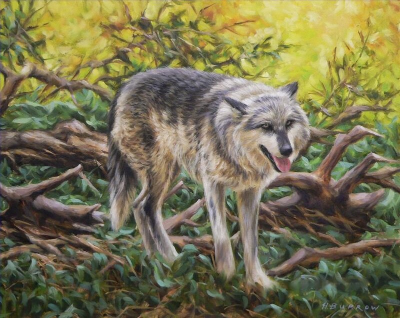 Wolf in Forest — Green, Natural, Autumn
