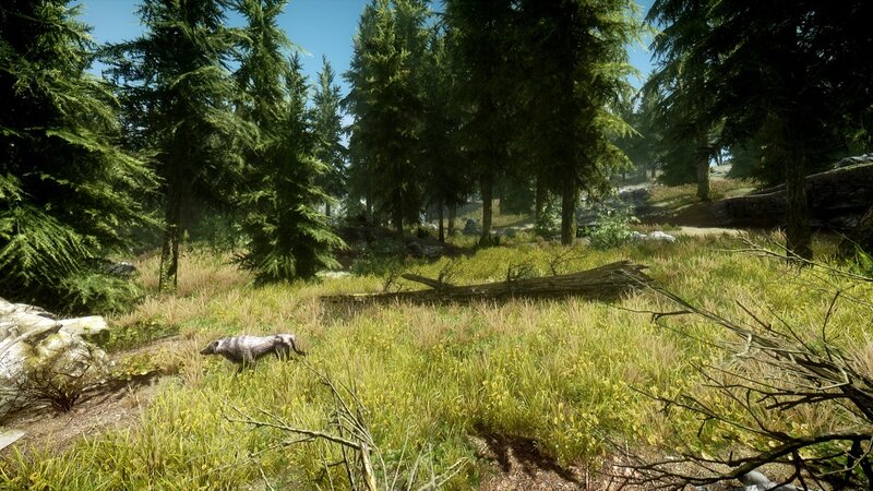 Wolf in Forest — Green, Serene, Afternoon, 3d Render